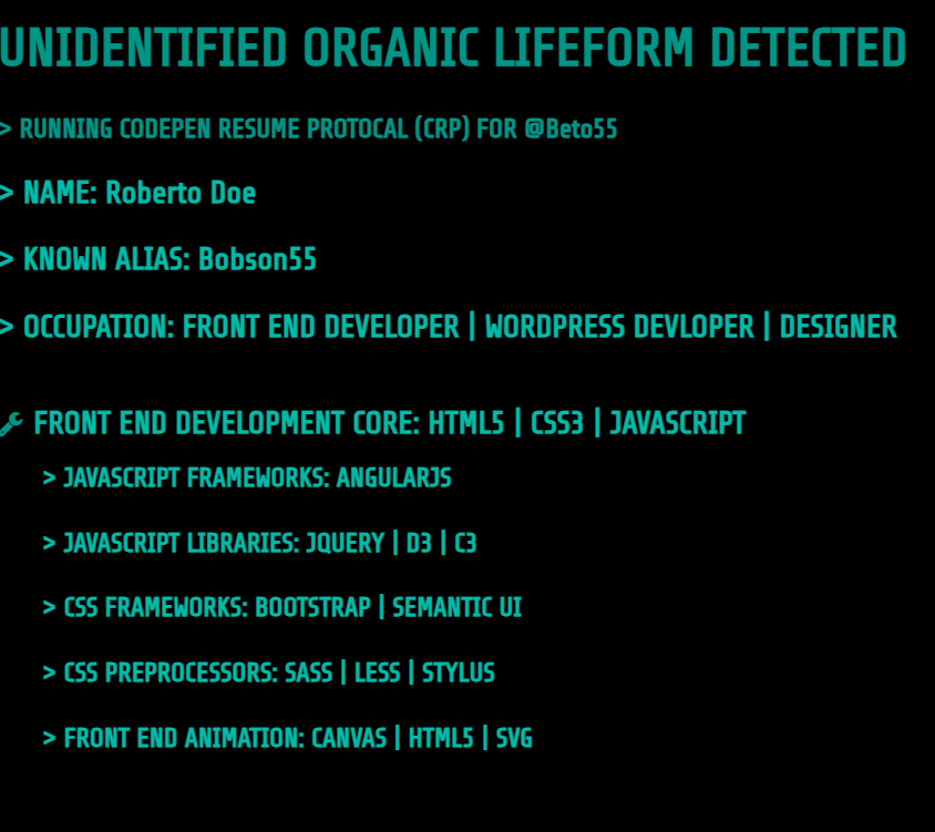 Resume Cyberspace
